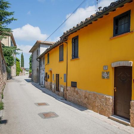 Bed & Breakfast Zocco San Martino In Campo Dış mekan fotoğraf