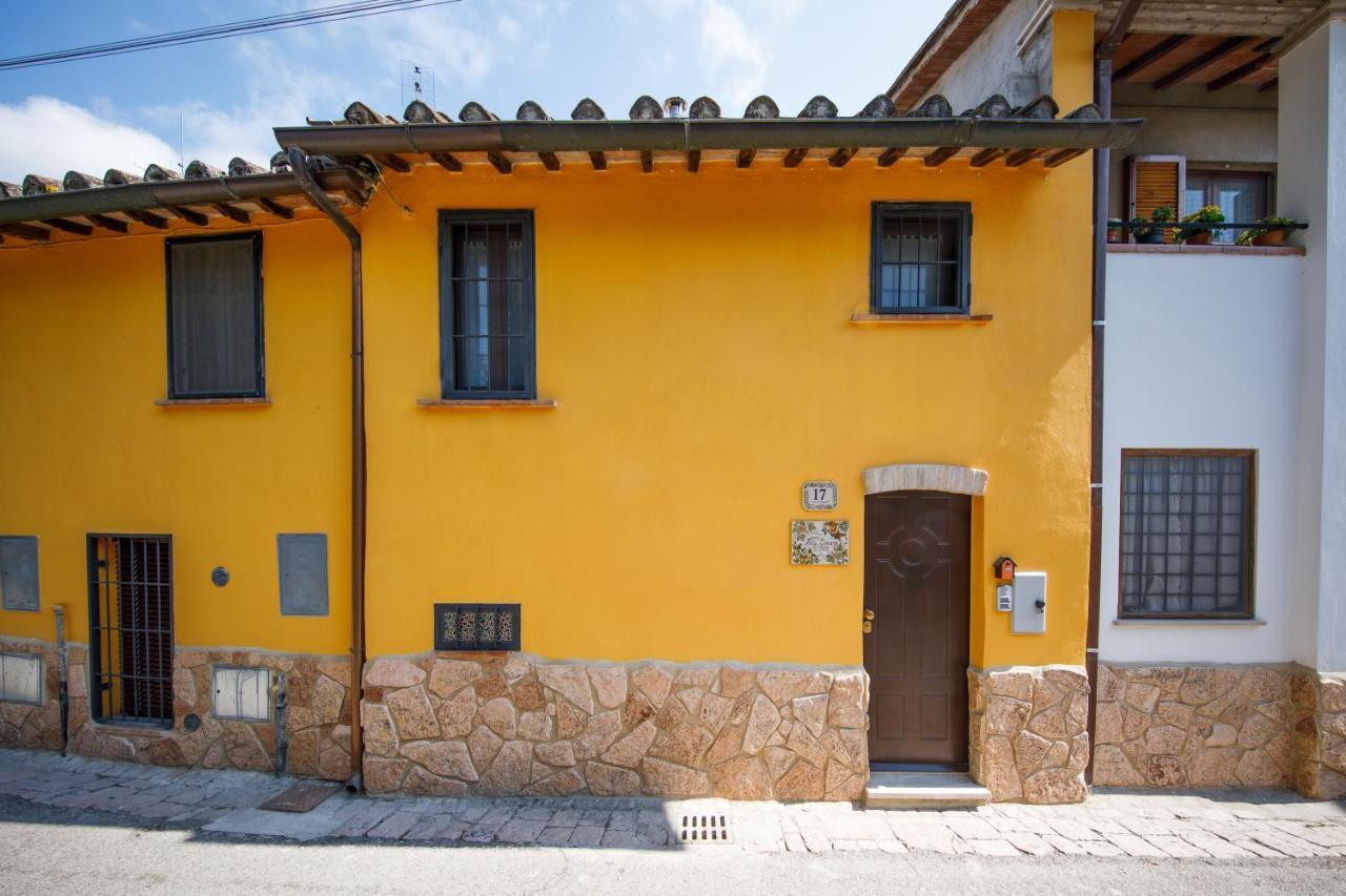 Bed & Breakfast Zocco San Martino In Campo Dış mekan fotoğraf